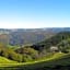 ZUR TRAUBE Schwarzwaldhotel & Restaurant am Titisee