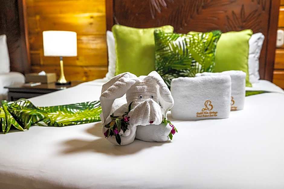 Baldi Hot Springs Hotel & Spa