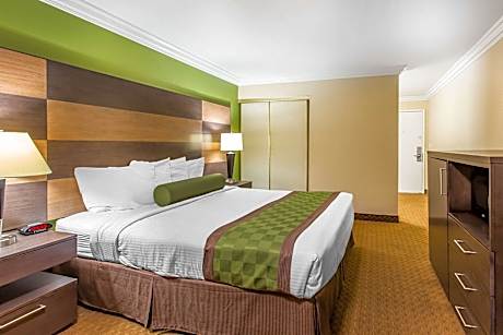 1 King Bed, No Smoking, Accessible Room