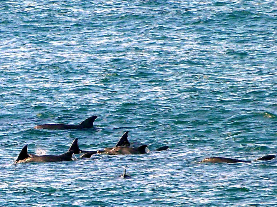 Premier Hotel Regent