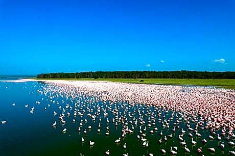 Lake Elmenteita Serena Camp