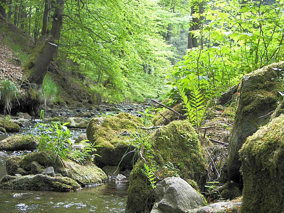 Hotel Zum Schneekopf "Garni"