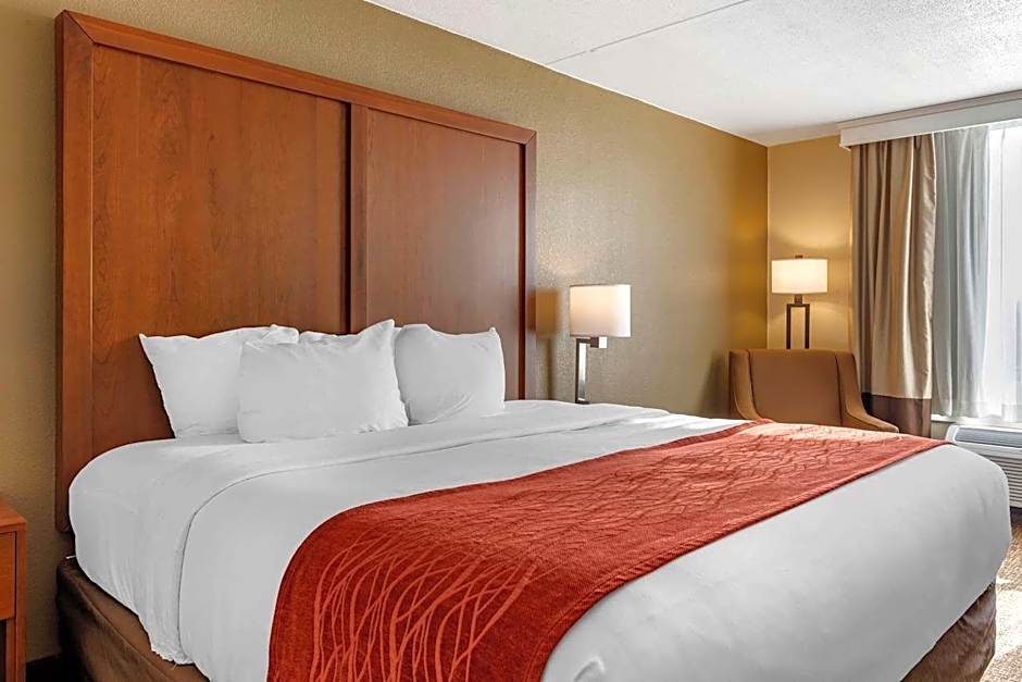 Comfort Inn & Suites Triadelphia - Wheeling