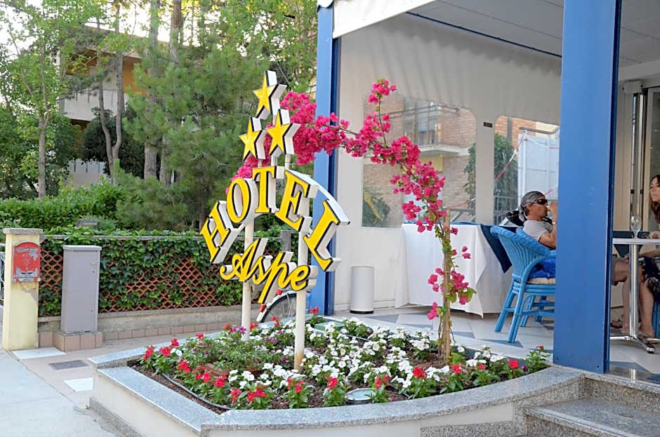 Hotel Aspe