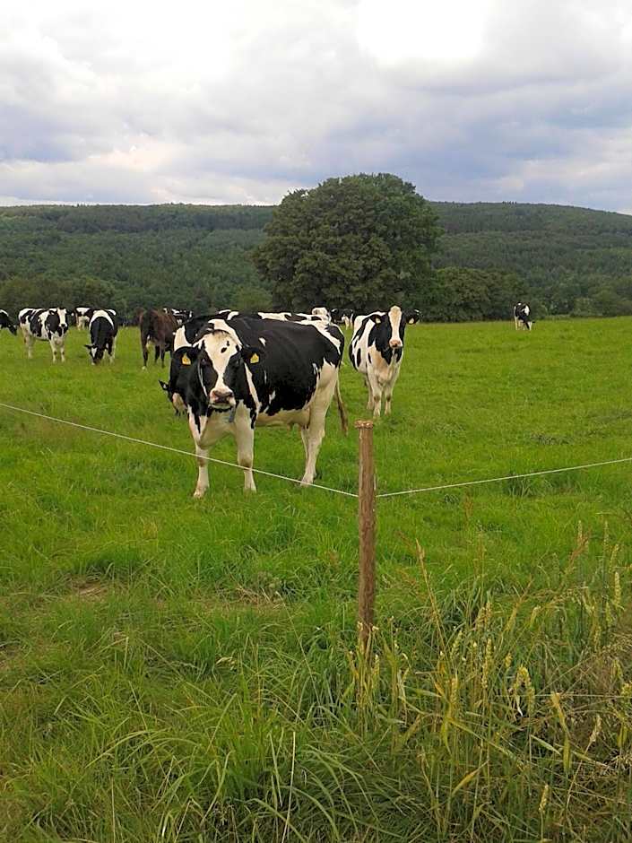 kleinHOTEL Steinau-Rabenstein GbR