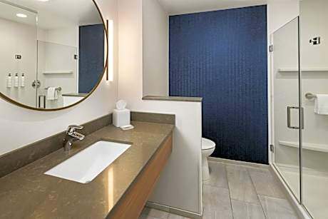 Executive King Suite with Sofa Bed