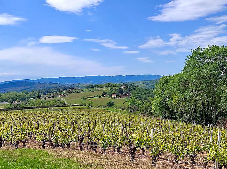 Appartement Jarnioux - Les Meublés des Pierres Dorées