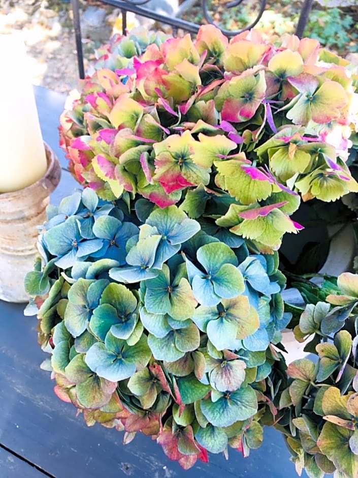 Chambre d'hôte équestre Au petit bonheur