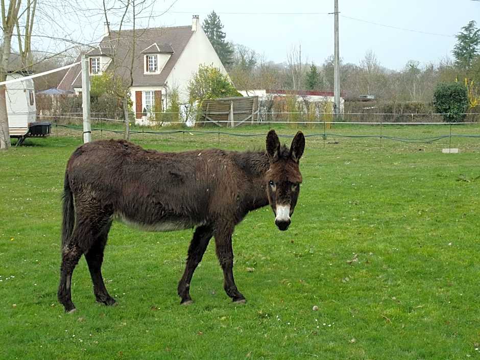Gîte L'Ange Blanc 12 chambres, 25 personnes, piscine couverte chauffée
