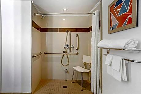 King Room - Accessible/Non-Smoking
