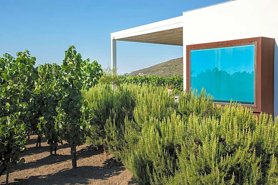 Tenuta di Castellaro Winery & Resort