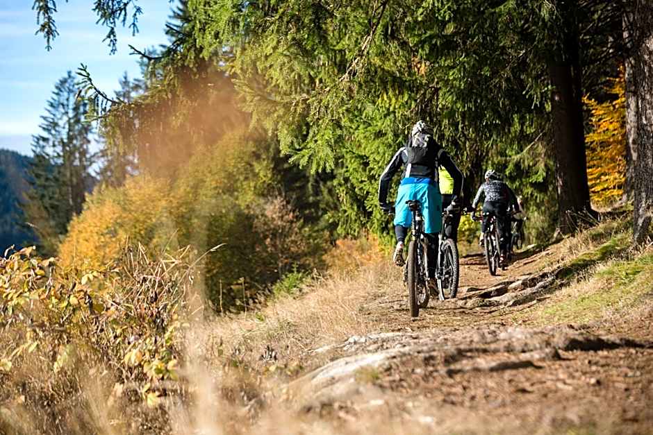 Hotel Bären Titisee