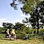 Ipe Tombe Guest Lodge - Midrand