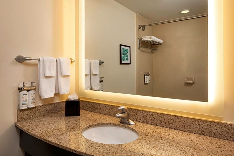Holiday Inn Hotel & Suites Maple Grove Northwest Minneapolis-Arbor Lakes By IHG