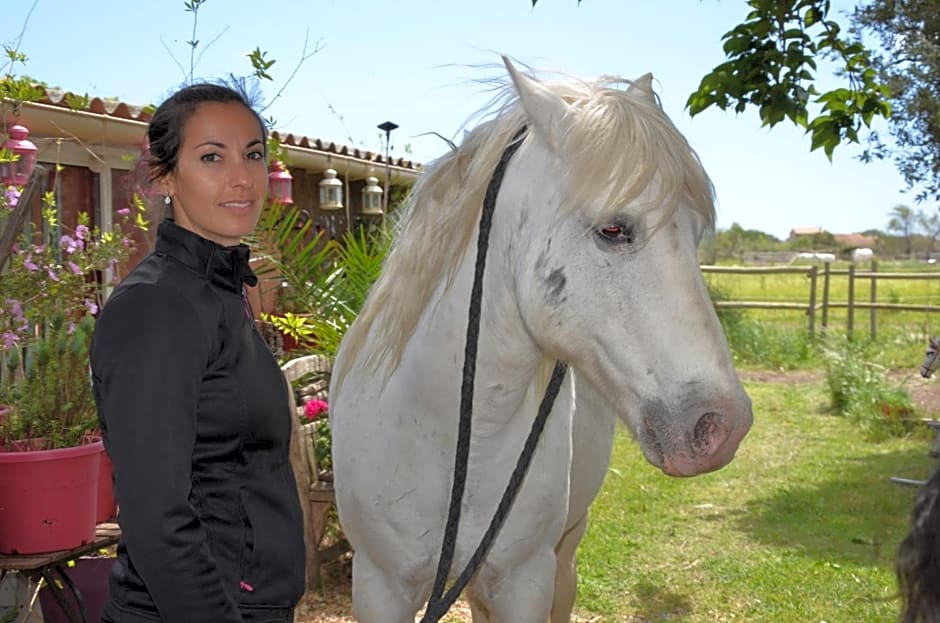 Gites Chambres d'hotes Mazet du Maréchal Ferrant