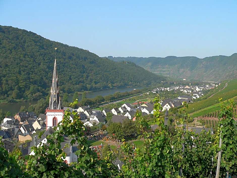 Hotel Moselterrasse