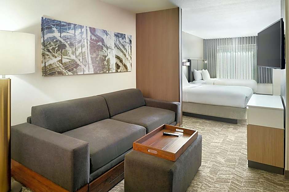 SpringHill Suites by Marriott Atlanta Six Flags