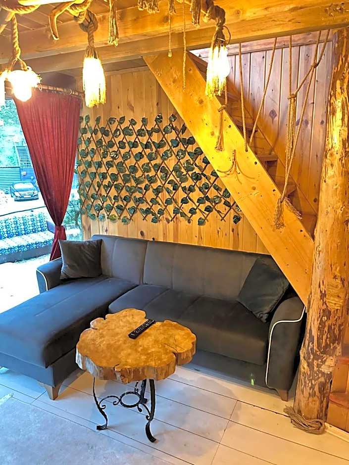 AYDER SOCi DAĞ EVLERİ