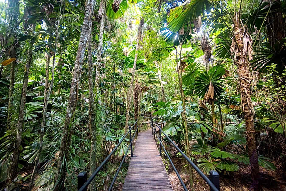 Daintree Wilderness Lodge