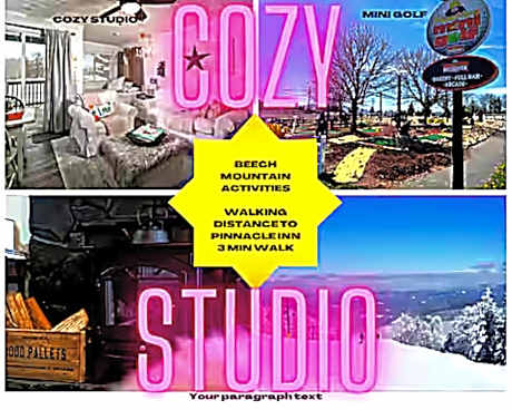 Studio with Mountain View