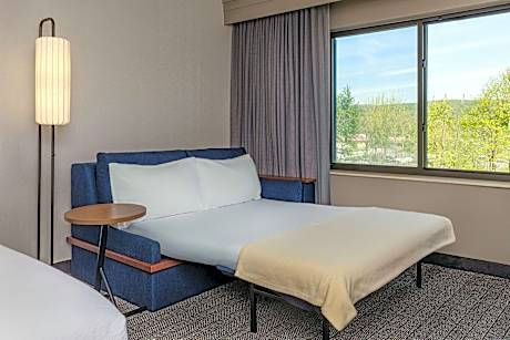 Larger Studio, 1 King, Sofa bed