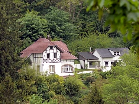La Dependance de la Villa des Oiseaux - La Petite Pierre