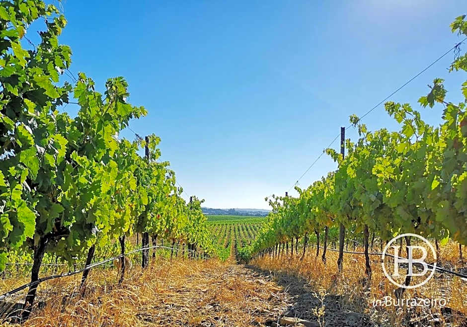 Herdade do Burrazeiro Turismo Rural no Alentejo