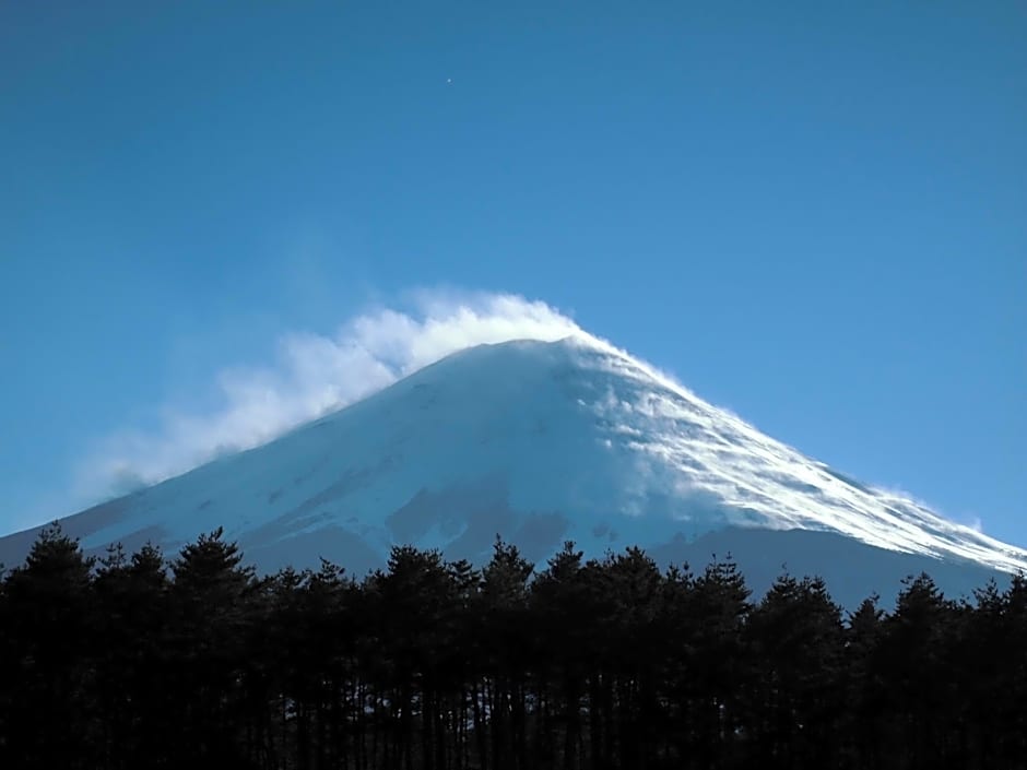 Evergreen-Fuji