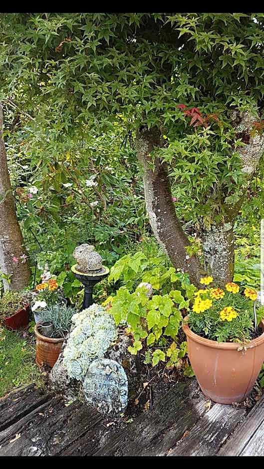 Fred&Donz Bed and Breakfast