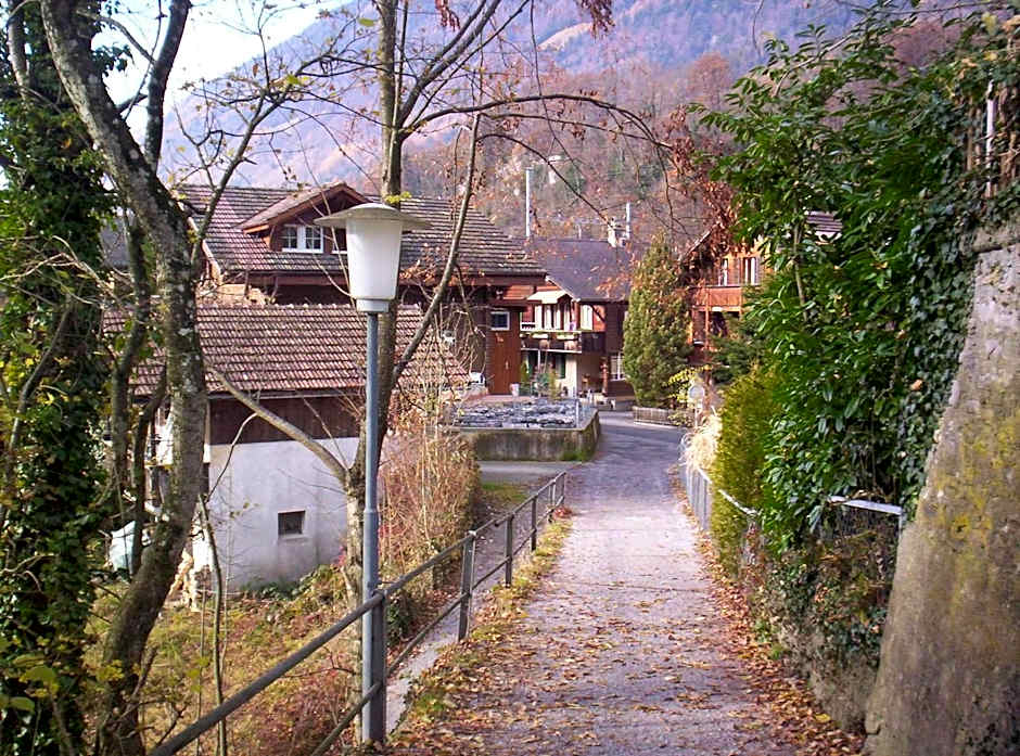 Alpina Boutique Hotel Interlaken - Ringgenberg - Adults only !