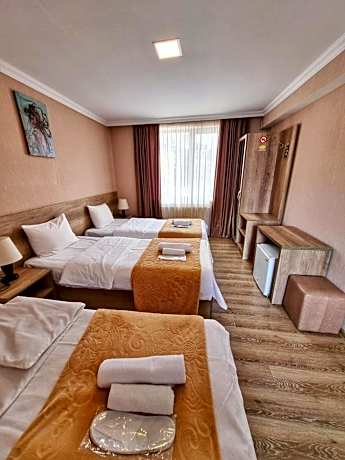 Triple Room with Mountain View