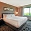 Embassy Suites by Hilton Raleigh Durham Research Triangle