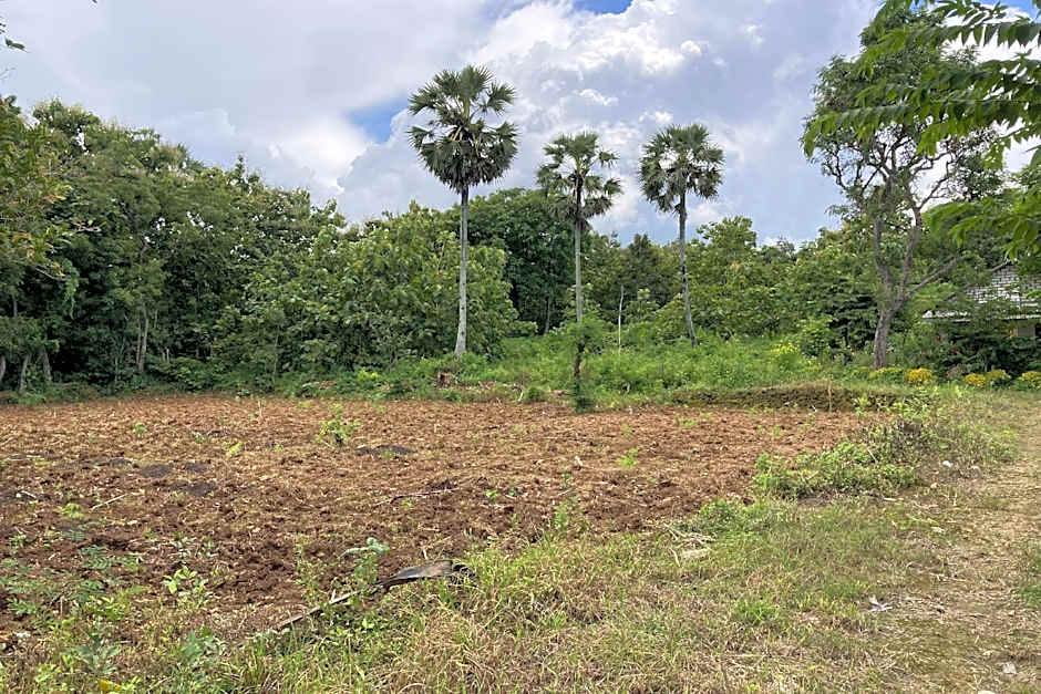 Hotel O Desa Wisata Dalegan