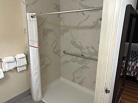 Deluxe Room with One Queen Bed Disability Access Roll-In Shower Non-Smoking