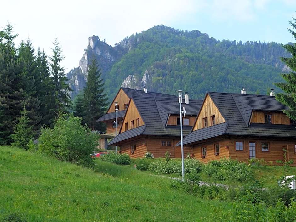 Drevenica pod smrekom