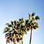 Hotel Palais de la Mediterranee - The Unbound Collection by Hyatt