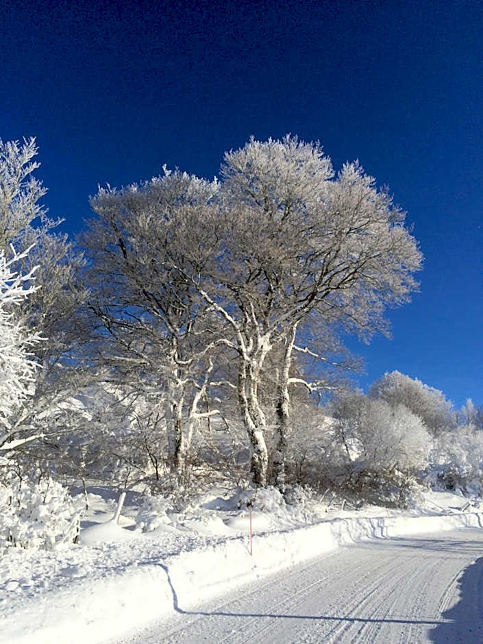 Logis Hôtel-restaurant Les Coudercous