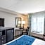 Comfort Inn Rehoboth Beach