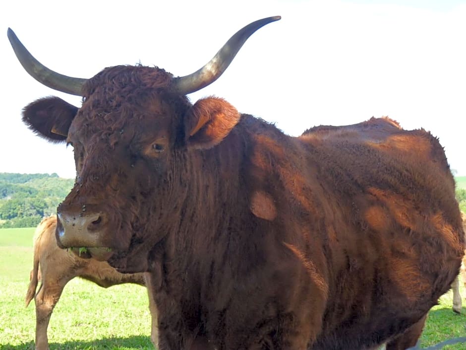 Chambres d'hôtes - Domaine de la Grangeotte
