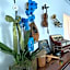 Music House Palinuro