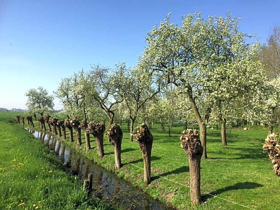 Broeks' Bed En Brood