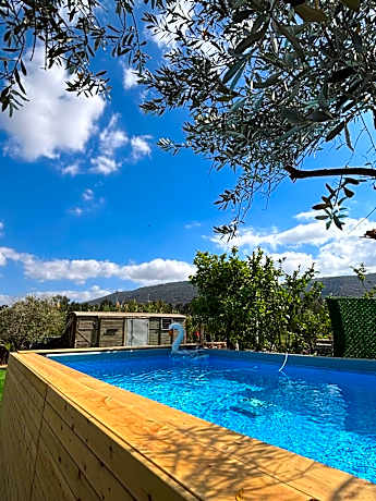 בוסתן החורש