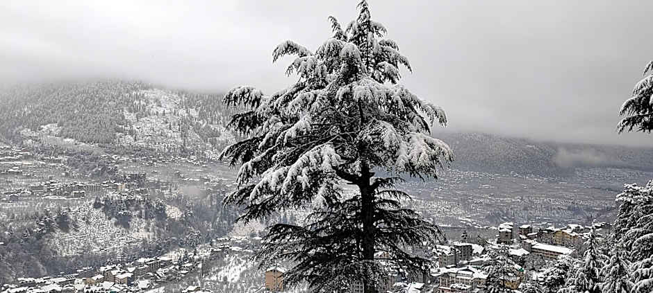 The Whitestone Inn & Suites ( A Centrally Heated Mountain & Valley View )