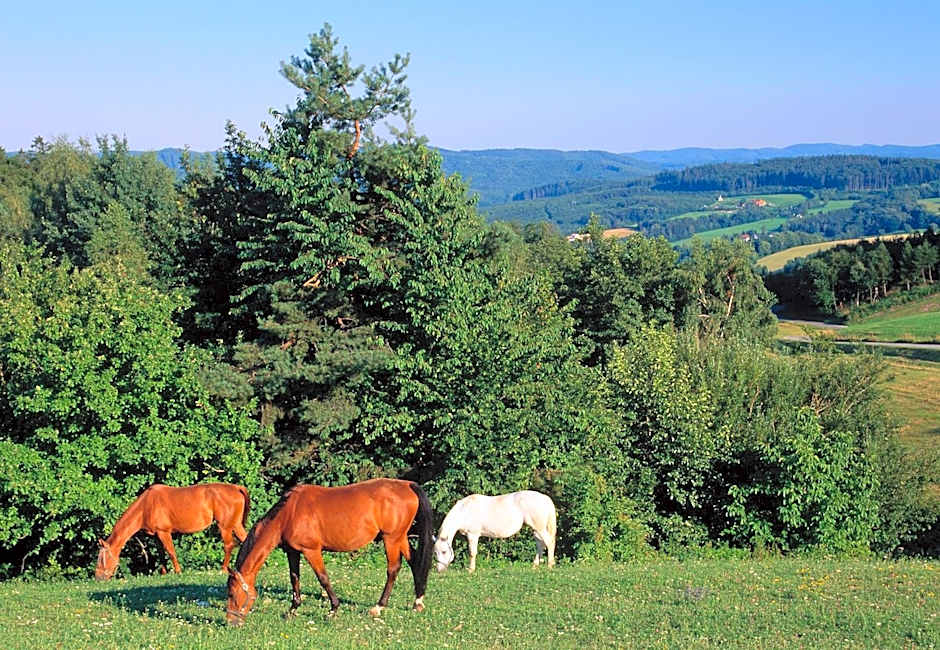 Wienerwaldhof Rieger