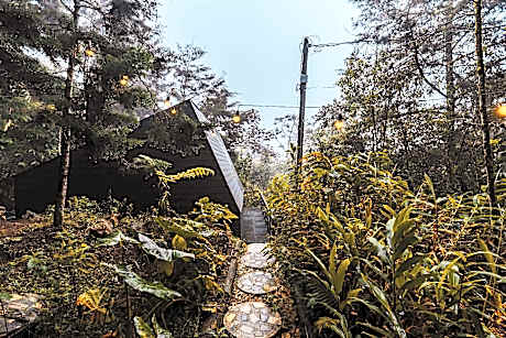 Oculto refugio de bosque