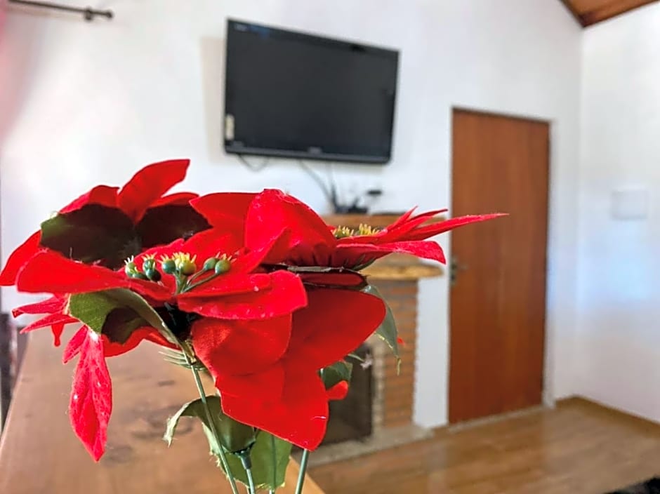 Chale vale das Araucarias