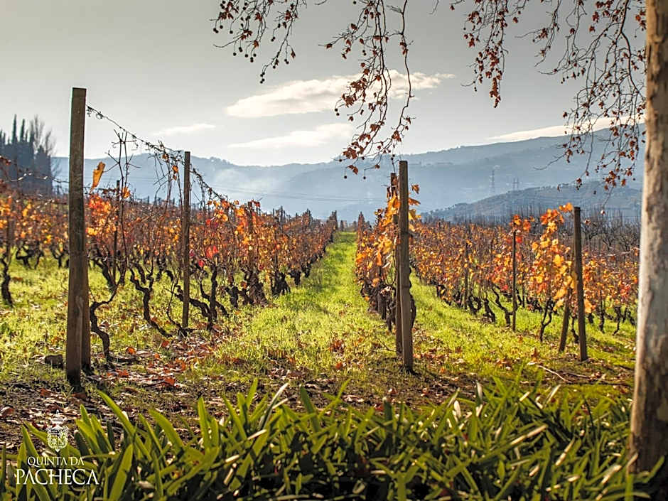 The Wine House Hotel - Quinta da Pacheca