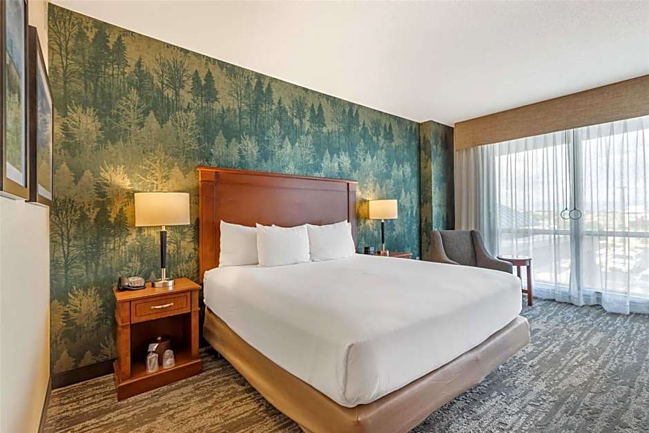 Drury Plaza Hotel Denver Central Park