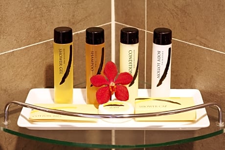 Studio Queen Size Bed