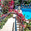 Moonshine Hotel & Suites